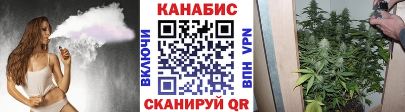 Где купить Вяземский АМФ  МЕТАДОН  Псилоцибиновые грибы  Конопля  Меф мяу мяу 