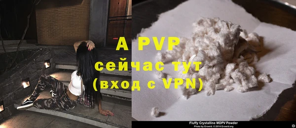 Альфа ПВП Бородино