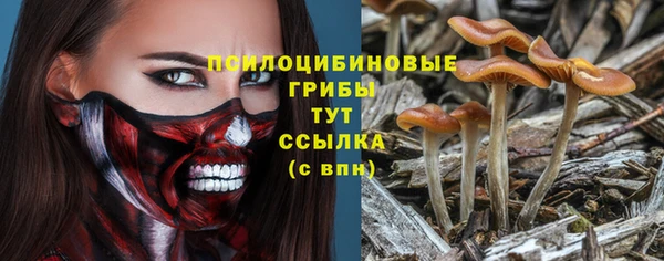 дурь Верхнеуральск