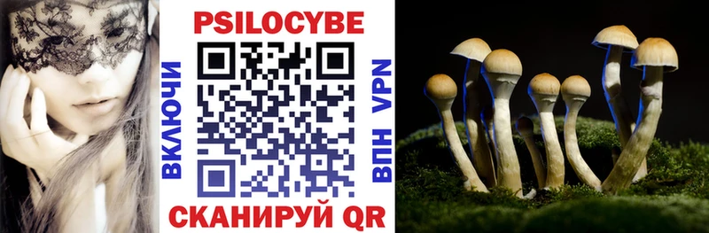 Псилоцибиновые грибы ЛСД дарк нет как зайти Вяземский
